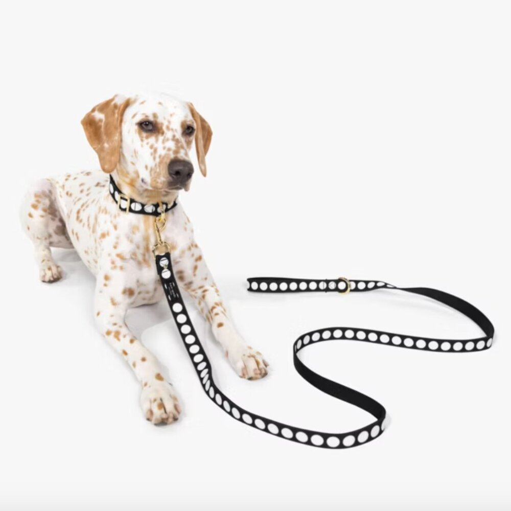 NEW! Kate Spade Dog Leash & Poop Bag Holder